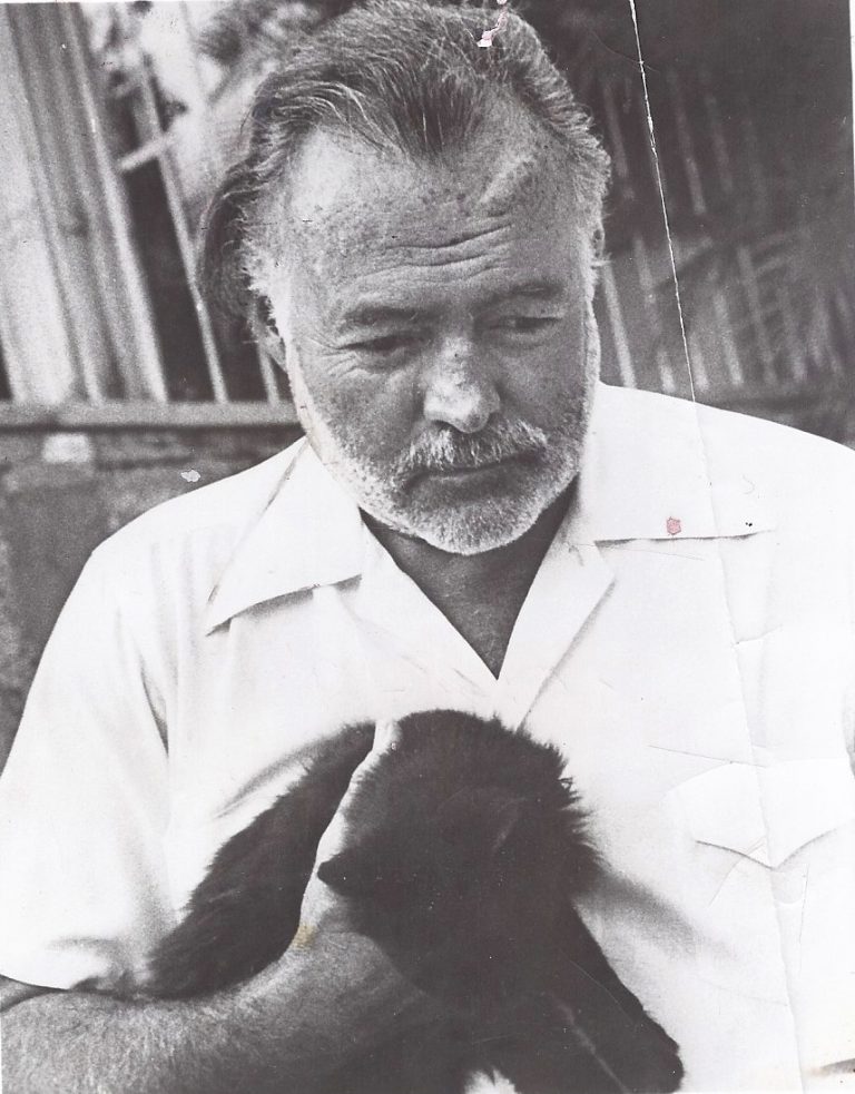 Ernest Hemingway vergöttert seine Katzen Hemingways Welt
